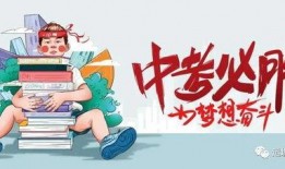 宝龙爆料最新消息新闻,揭秘重大新闻背后的真相与影响