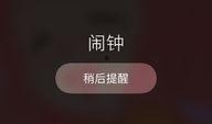 白痴在线手机观看,手机观看的爆笑喜剧之旅