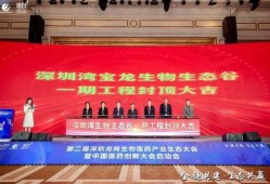 宝龙爆料最新消息新闻,揭秘重大新闻背后的真相与影响
